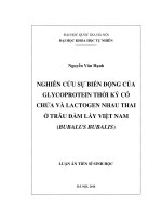 Nghiên cứu sử dụng điện cực paste cacbon biến tính bởi HgO để phân tích một số kim loại độc hại trong một số đối tượng môi trường bằng phương pháp von ampe hòa tan