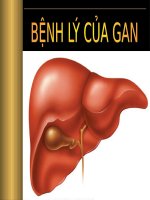BỆNH lý của GAN (GIẢI PHẪU BỆNH) (chữ biến dạng do slide dùng font VNI times, tải về xem bình thường) 