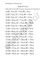 Bài tập ôn tập- Định lí Py-Ta-Go
