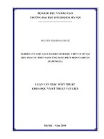 Nghiên cứu chế tạo cảm biến sinh học trên cơ sở vật liệu zno cấu trúc nano ứng dụng phát hiện vi khuẩn salmonella 