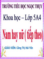 KH 5 - TUAN 2 - BAI 3. NAM HAY NU (tiếp theo)
