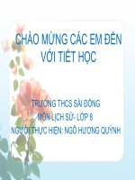 Tiet8_chu de_Cac van de ve cach mang tu san thoi can dai(T)_Nhung dac trung dien hinh cua cach mang tu san_NgoHuongQuynh_Lichsu8