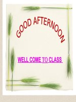 Anh 6-Unit 5- C1 - Website Trường THCS Phan Bội Châu - Đại Lộc - Quảng Nam