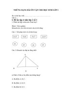 ĐỀ ÔN TẬP Ở NHÀ LỚP 2 (SỐ 3) - NHỮNG DẠNG BÀI ÔN TẬP CHO HỌC SINH LỚP 2