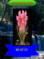 Ngữ văn 7- Điệp ngữ - Website Trường THCS Phan Bội Châu - Đại Lộc - Quảng Nam