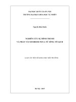 Nghiên cứu sự chuyển hóa của PAHs và một số kim loại nặngtrong quá trình ổn định bùn thải sông Kim Ngưu kết hợp rác hữu cơ bằng phương pháp lên men yếm khí nóng
