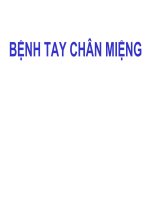 BỆNH TAY CHÂN MIỆNG (NHI KHOA) (chữ biến dạng do slide dùng font VNI times, tải về xem bình thường) 