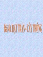 MÔN SINH HỌC 6 - TUẦN 7 - BÀI 40