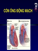 CÒN ỐNG ĐỘNG MẠCH (PDA) (NHI KHOA) (chữ biến dạng do slide dùng font VNI times, tải về xem bình thường) 