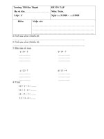 ĐỀ ÔN TẬP MÔN TOÁN VÀ TIẾNG VIỆT LỚP 1