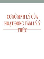 CƠ sở SINH lý của HOẠT ĐỘNG tâm lý ý THỨC (tâm lý y học)