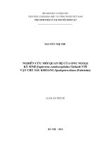 Nghiên cứu mô phỏng sự phát thải khí nhà kính CH4 N2O trong môi trường đất lúa lưu vực sông Vu Gia Thu Bồn tỉnh Quảng Nam