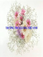 bài giảng môn ngữ văn 6