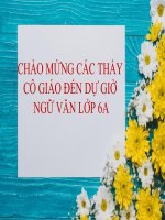 TIẾT 29 : LUYỆN NÓI KỂ CHUYỆN