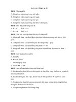 ôn tập kiểm tra lí 8 số 2