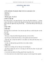 Giáo án STEM toán 7, chủ đề ứng dụng thực tế tam giác cân