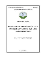 DƢƠNG THỊ THUẤN NGHIÊN cứu bào CHẾ THUỐC TIÊM hỗn DỊCH CHỨA PHỨC hợp LIPID AMPHOTERICIN b LUẬN văn THẠC sĩ dƣợc học 