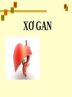 XƠ GAN (nội BỆNH lý) 