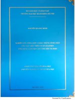 Nghiên cứu tổng hợp và đặc tính tính chất của vật liệu trên cơ sở graphen ứng dụng làm điện cực cho siêu tụ điện 