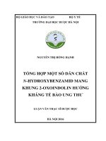 NGUYỄN THỊ HỒNG HẠNH TỔNG hợp một số dẫn CHẤT n HYDROXYBENZAMID MANG KHUNG 2 OXOINDOLIN HƢỚNG KHÁNG tế bào UNG THƢ LUẬN văn THẠC sĩ dƣợc học hà nội 2016 