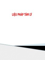 LIỆU PHÁP tâm lý (tâm lý y học) 