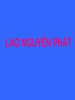 LAO NGUYÊN PHÁT (bộ môn LAO) (chữ biến dạng do slide dùng font VNI times, tải về xem bình thường) 