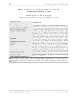 Đánh giá hiệu quả kiểm soát tỷ lệ chết trên cá rô phi nhiễm Flavobacterium columnare bằng florfenicol