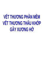 VẾT THƯƠNG PHẦN mềm (CHẤN THƯƠNG CHỈNH HÌNH) (chữ biến dạng do slide dùng font VNI times, tải về xem bình thường) 