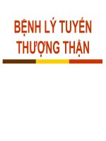 BỆNH lý TUYẾN THƯỢNG THẬN (nội TIẾT) (chữ biến dạng do slide dùng font VNI times, tải về xem bình thường) 
