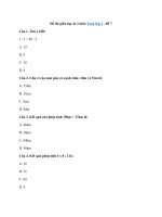 Tải Đề thi giữa học kì 2 môn Toán lớp 2 - Đề 7 - Đề ôn tập giữa kì 2 lớp 2 có đáp án