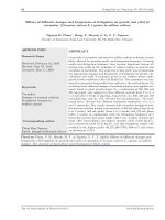 Ảnh hưởng của liều lượng và tần suất tưới dinh dưỡng đến sinh trưởng, phát triển và năng suất của dưa leo (Cucumis sativus L.) canh tác không đất