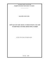 luận văn thạc sĩ chế tạo vật liệu mang vi sinh sử dụng vật liệu tổ hợp nhựa với phụ phẩm nông nghiệp​ 