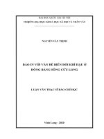 luận văn thạc sĩ báo in với vấn đề biến đổi khí hậu ở đồng bằng sông cửu long​ 