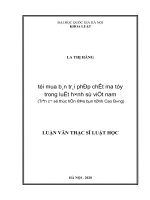 luận văn thạc sĩ tội mua bán trái phép chất ma túy trong luật hình sự việt nam​ 