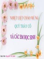 slide bài giảng truyện bông hoa cúc trắng 