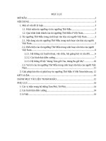 Biểu hiện tín ngưỡng thờ mẫu ở việt nam Đại cương văn hóa  9 điểm