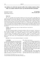 Tác động của trí tuệ cảm xúc đến căng thẳng trong công việc của nhân viên kế toán tại thành phố Hồ Chí Minh