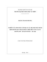 Bài toán quy hoạch phi tuyến không ràng buộc