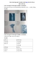 Tải Giải vở bài tập môn Tự nhiên xã hội lớp 3 bài 43: Rễ cây - Giải vở bài tập môn Tự nhiên xã hội lớp 3 trang 62, 63