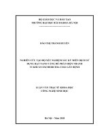 Nghiên cứu chế tạo bộ xét nghiệm sắc ký miễn dịch sử dụng hạt nano vàng để phát hiện nhanh vi khuẩn escherichia coli gây bệnh 