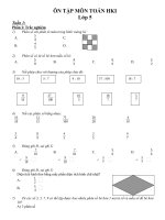 đề ôn tập tổng hợp lớp 5 hki