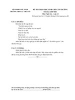 Đề thi chọn HSG cấp trường môn Ngữ văn 12 năm 2020-2021 - Trường THPT Lý Thái Tổ