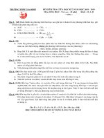 Đề thi giữa học kì 2 môn Hóa học 11 năm 2018-2019 - Trường THPT Gia Định (Khối nâng cao)