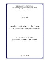 Nghiên cứu sử dụng lá cây cao su làm vật liệu xử lý chì trong nước