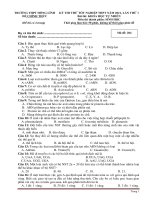 Đề thi thử tốt nghiệp THPT năm 2021 môn Sinh học có đáp án - Trường THPT Hồng Lĩnh (Lần 1)