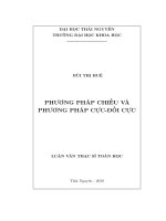 Luận văn Thạc sĩ Toán học: Phương pháp chiếu và phương pháp cực-đối cực