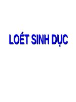LOÉT SINH dục (DA LIỄU) (chữ biến dạng do slide dùng font VNI times, tải về xem bình thường) 