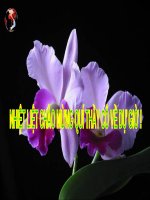 slide bài giảng địa lí 12 tiết 14 việt nam lao động và việc làm 