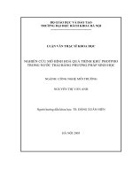 Nghiên cứu mô hình hoá quá trình khử photpho trong nước thải bằng phương pháp sinh học