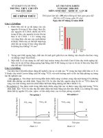 Đề thi năng khiếu môn Sinh học 10 năm 2020-2021 có đáp án - Trường THPT chuyên Nguyễn Trãi (Lần 3)